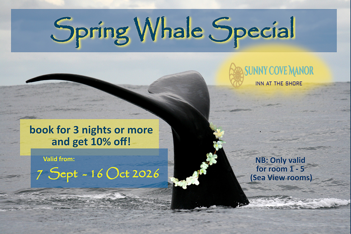 Spring Whale Special 2026 - long copy